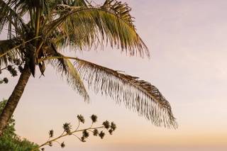 Amore Paraiso Weddings - 29