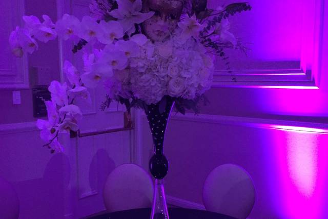 J. Bray Events 2