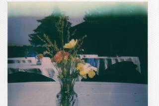 Indigo Gardens - 11