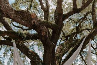 Manifest Events - 23