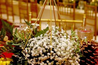 Amoda Decor - 25
