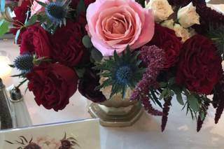 Blooms Dunn Right - 37