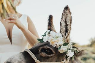 Haul N Ass Productions - 111