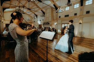 PixieViolin - 11