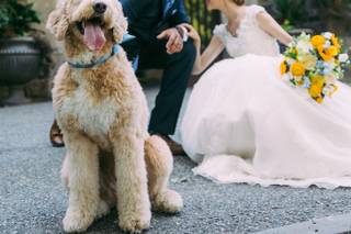 Nat Wongsaroj Photography - 6