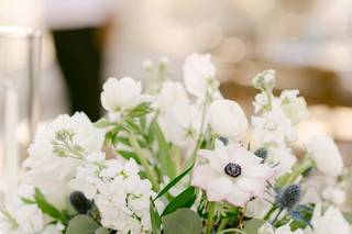 Frampton's Flowers - 9
