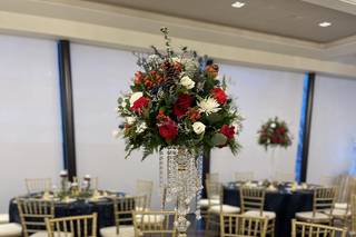 Roses of Warren - 6