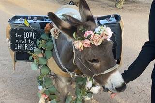 Haul N Ass Productions - 141