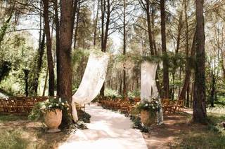 Agape Weddings - 15