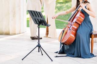 Lolo Loves Cello - 8