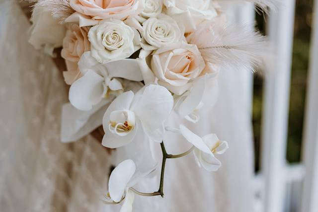 Diana Cecilia Photography 1