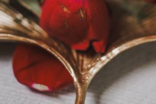 Arli Quinn Photography - 5