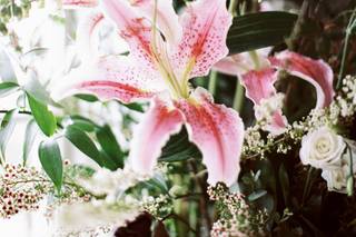 Petaloso - 18