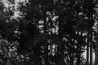Florafost Photography - 27