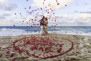 Cay Focus Photography - 9