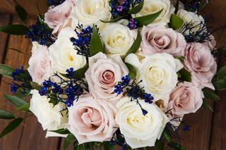 Forget Me Not Flowers - 33