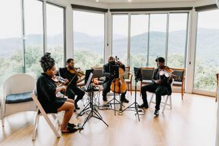 Sterling Strings - 9