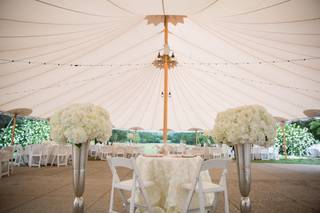 Stylish Blooms - 36