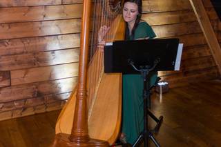 Harp By Erin - 1