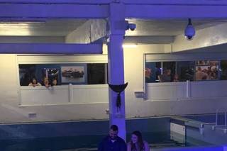 Clearwater Marine Aquarium - 10