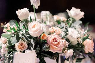 Petula Pea Photography - 14