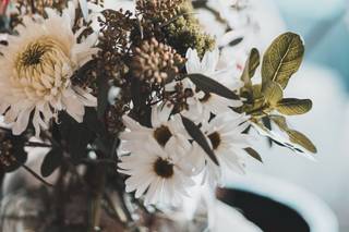 Jennifer Talesman Photography - 12