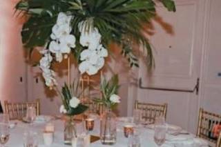 Foxtail Florals - 20