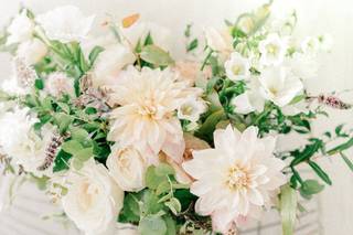 Blue Jasmine Floral - 21