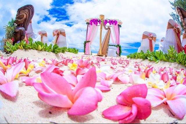 Aloha Island Weddings - 3