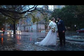 Tree Films - 41