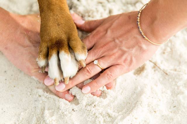 Courtney Wahl Photography 5