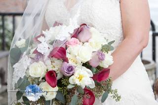 Image Gallery Photography - 7
