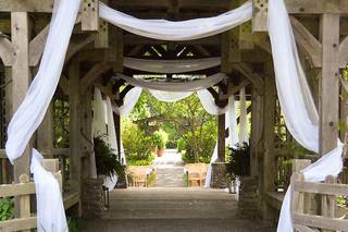 Haley's Garden - 11