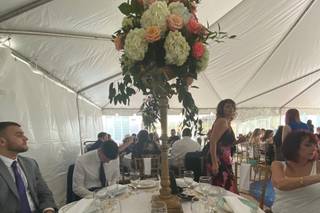 Sarandipity Floral - 57