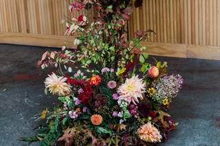 Bird Watching & Pruning Floral - 22