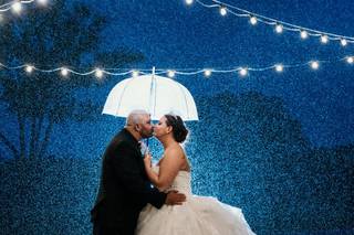 Brad Barnwell Photography - 31