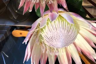 Flor de Casa Designs - 55