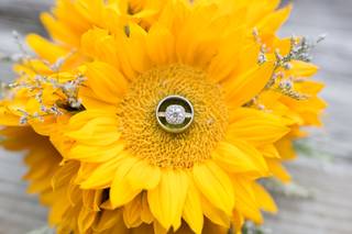Amber Elizabeth Weddings - 115