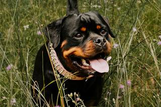 Caroline Gilbody Photography - 7
