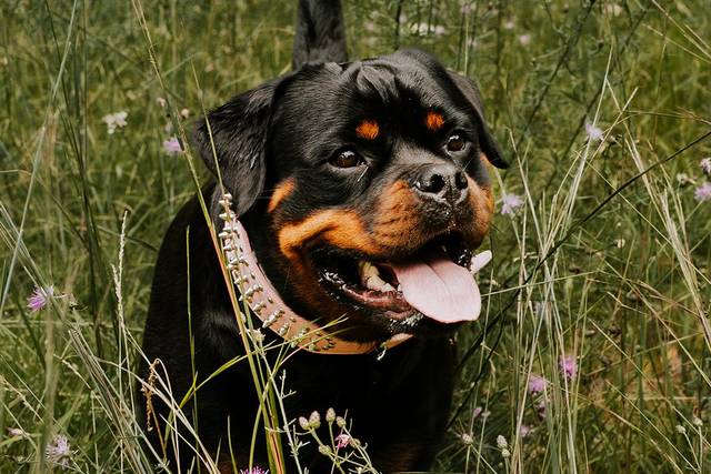 Caroline Gilbody Photography 3