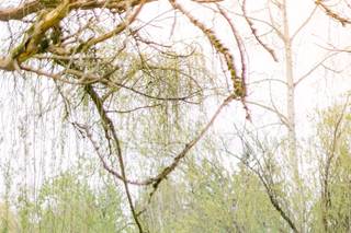 Ksenia Vasenev Photography - 11