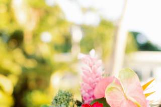 Claudia Amalia Photography - 38