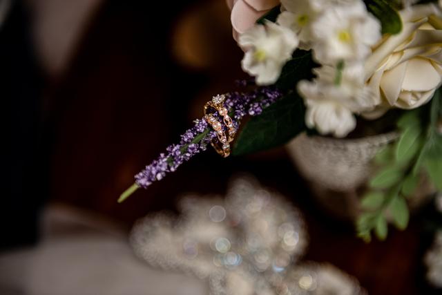 Annie V Photography - 3