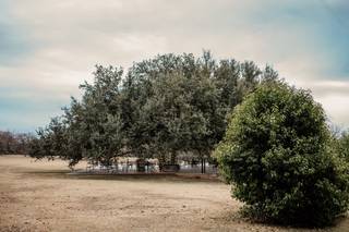 Stonebridge Wedding and Event Venue - 9