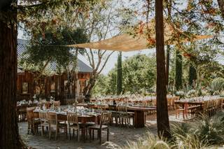 Triple S Ranch Napa - 10