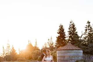 Pageo Lavender Farm - 17
