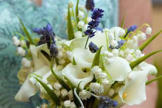 Loudoun D Floral - 5