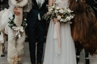 Adornment Events - 31