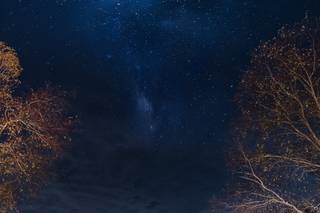 Jon Adams Photography - 11