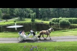 Wood Acres Farm - 42